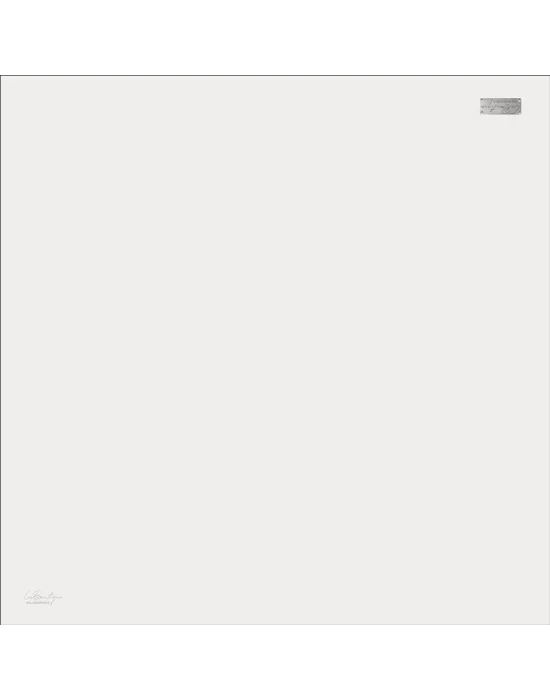 DÜZ RENK SURA İPEK - 47 - 90X90