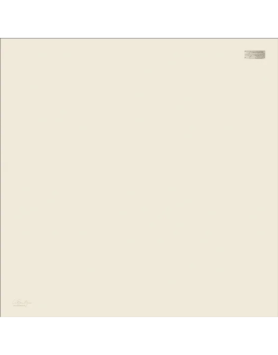 DÜZ RENK SURA İPEK - 49 - 90X90