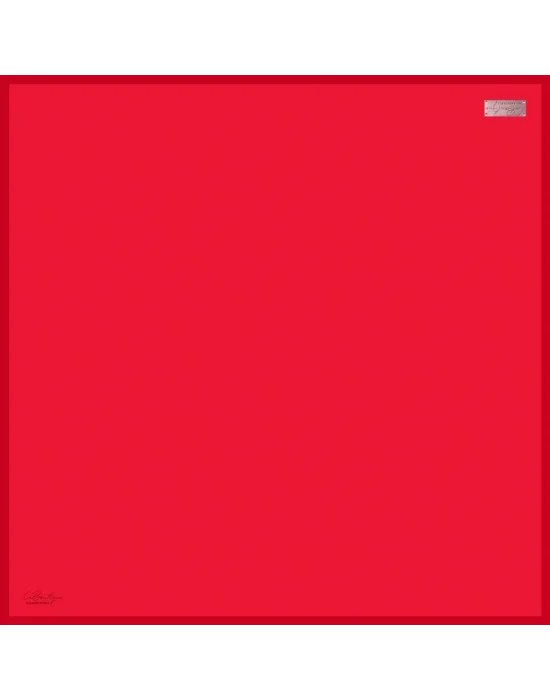 DÜZ RENK SURA İPEK - 63 - 90X90