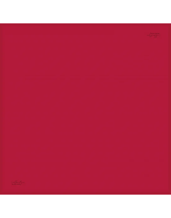 DÜZ RENK SURA İPEK - K-38 - 90X90