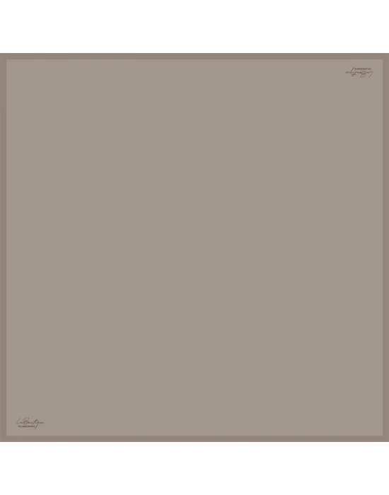 DÜZ RENK TWİLL İPEK - 110 - 90X90