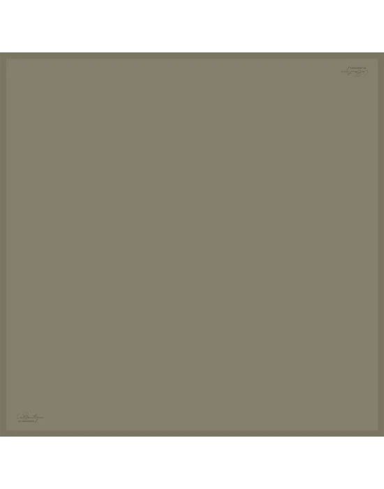 DÜZ RENK TWİLL İPEK - 113 - 90X90