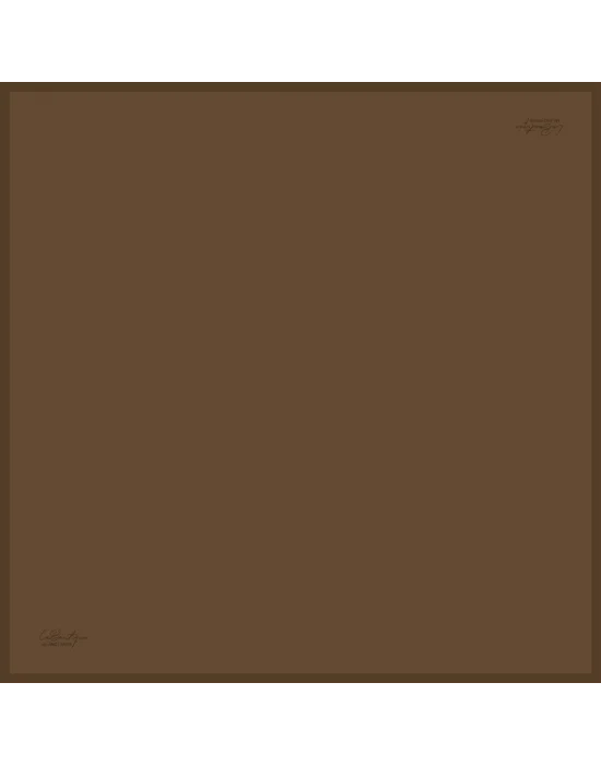 DÜZ RENK TWILL İPEK - 127 - 90X90