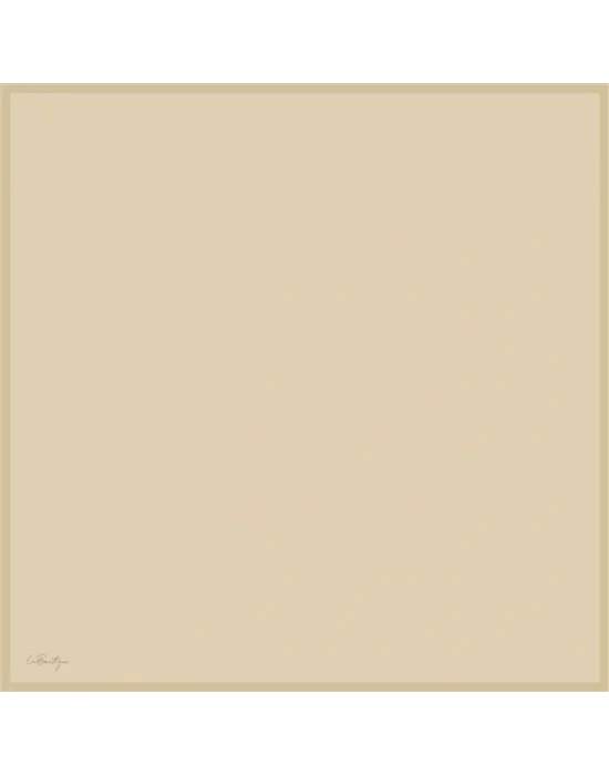 DÜZ RENK TWİLL İPEK - 37 - 90X90