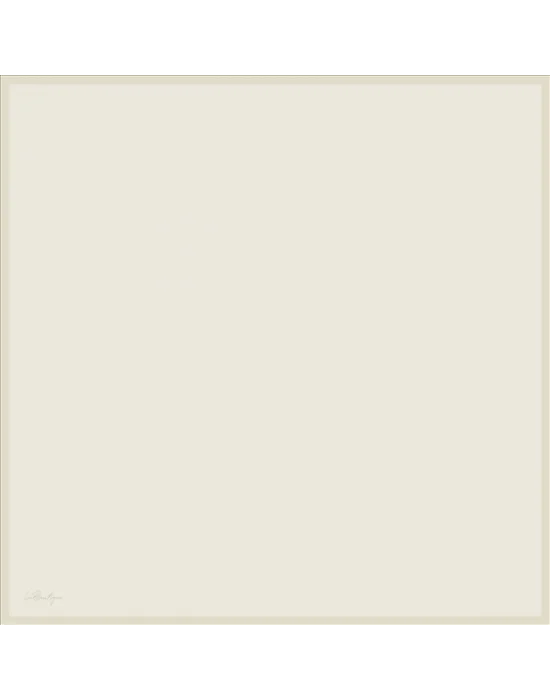 DÜZ RENK TWİLL İPEK - 42 - 90X90