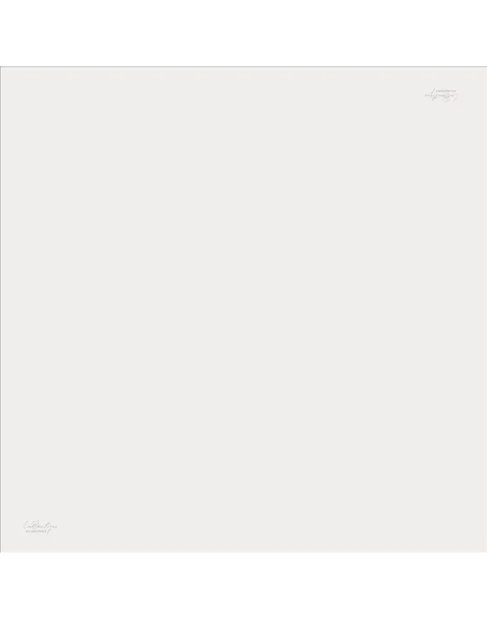 DÜZ RENK TWİLL İPEK - 47 - 90X90