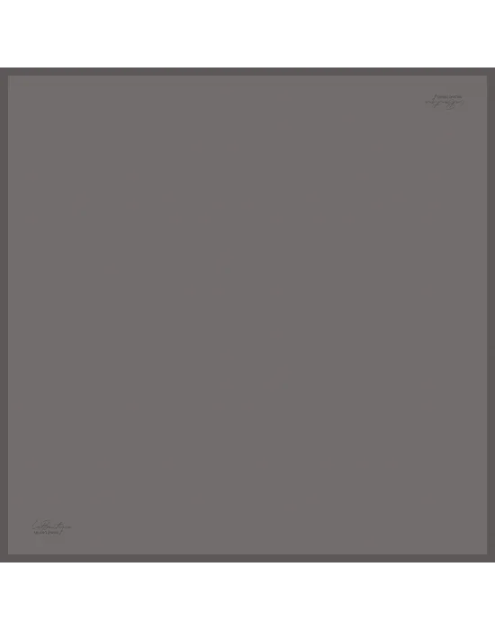 DÜZ RENK TWILL İPEK - 48/Y - 90X90