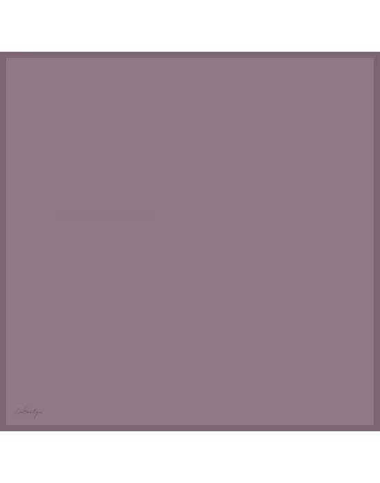 DÜZ RENK TWİLL İPEK - 74 - 90X90