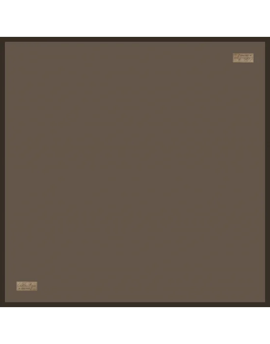 GÜZ | YAZ SERİNLİĞİ EŞARP DÜZ-20 90X90