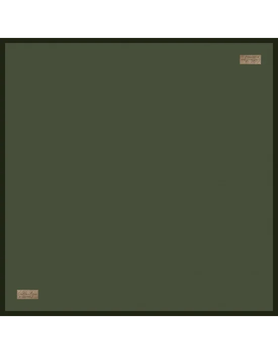 GÜZ | YAZ SERİNLİĞİ EŞARP DÜZ-43 90X90