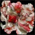 2541-10 TWILL İPEK 90X90