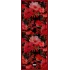 GÜZ | YAZ S. 2375-09 ŞAL 70X190