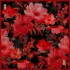 GÜZ | YAZ SERİNLİĞİ EŞARP 2375-09-90X90