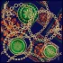 ÖZEL SERİ EŞARP 2383-07 90X90