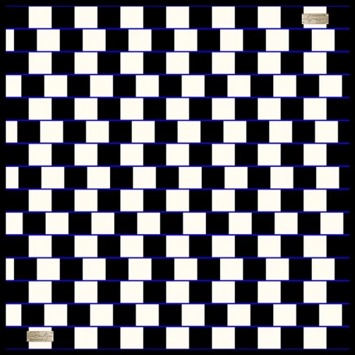 2010 SURA İPEK EŞARP 02