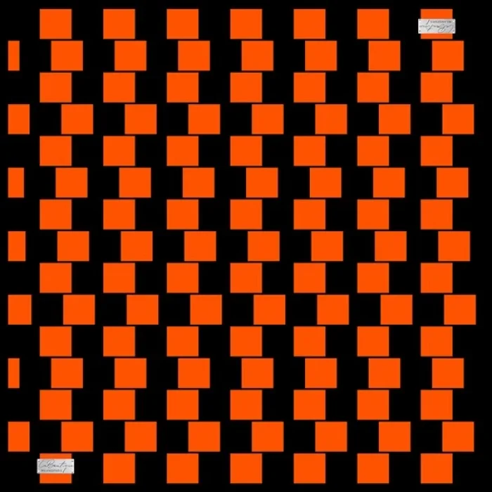 2010 SURA İPEK EŞARP 04