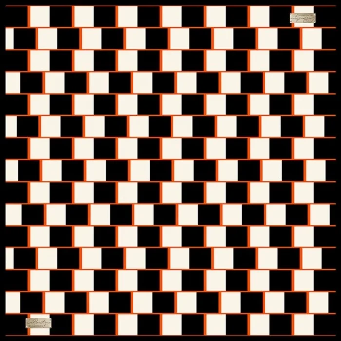 2010 SURA İPEK EŞARP 08