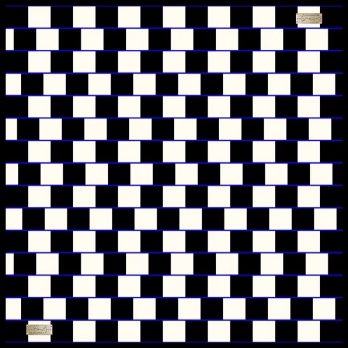 2010 TWILL İPEK - 02 - 90X90