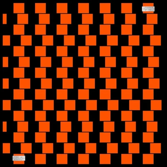 2010 TWILL İPEK - 04 - 90X90