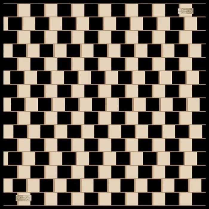 2010 TWILL İPEK - 09 - 90X90