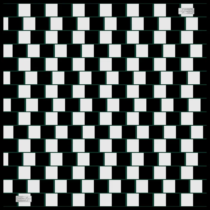 2010 TWILL İPEK - 11 - 90X90