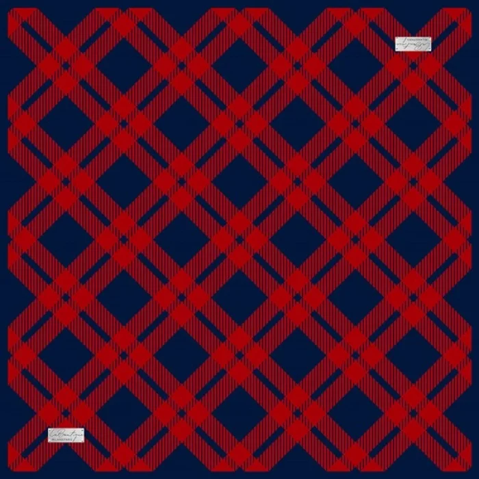 2059 SURA İPEK EŞARP 12