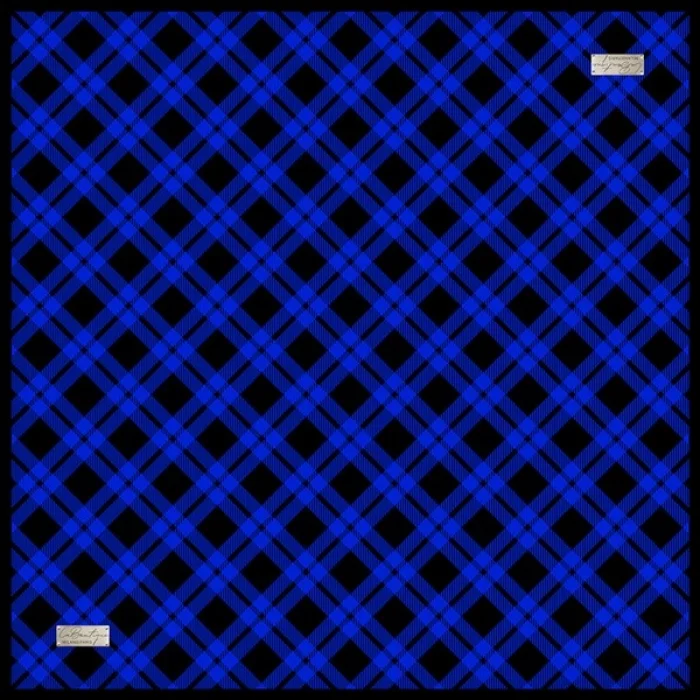 2060 SURA İPEK EŞARP 04