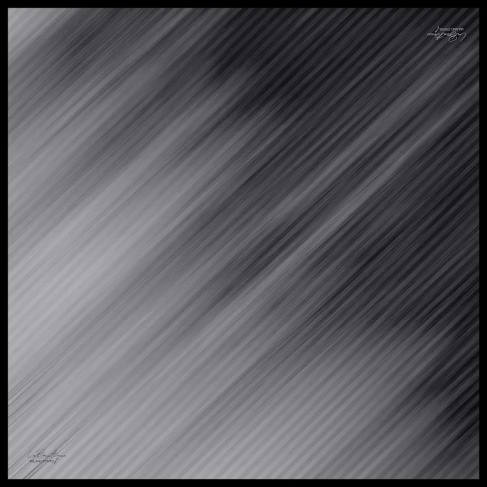 ÖZEL SERİ EŞARP 1647-19 90X90