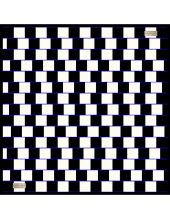 2010 SURA İPEK EŞARP 02