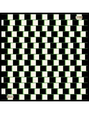 2010 SURA İPEK EŞARP 07