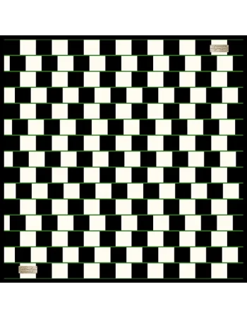 2010 TWILL İPEK - 03 - 90X90