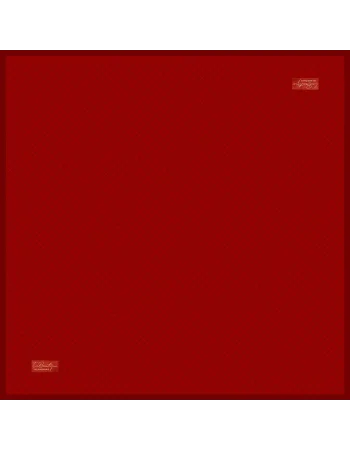 2462-02 SURA İPEK 90X90