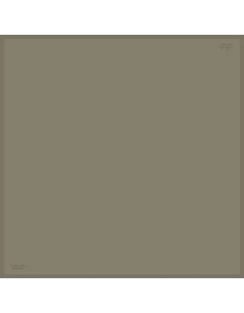 DÜZ RENK TWİLL İPEK - 113 - 90X90