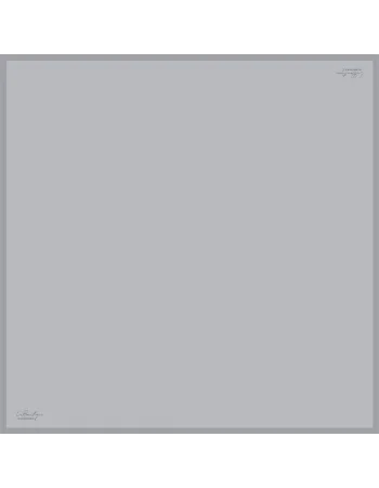 DÜZ RENK TWİLL İPEK - 121 - 90X90