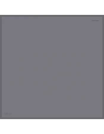 DÜZ RENK TWİLL İPEK - 13 - 90X90