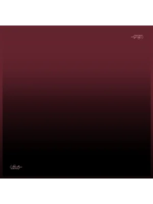 1285 SURA İPEK 101 - 90X90