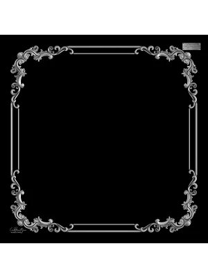 1556 TWILL İPEK 02-90X90