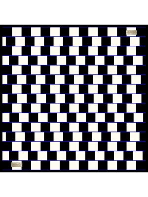 2010 SURA İPEK EŞARP 02