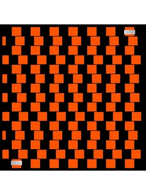 2010 SURA İPEK EŞARP 04