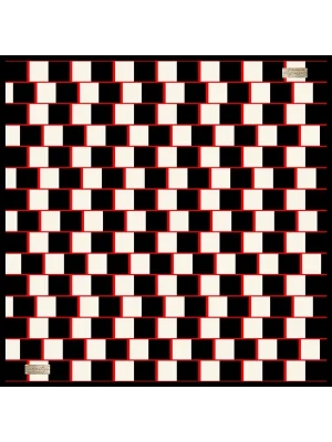 2010 SURA İPEK EŞARP 05