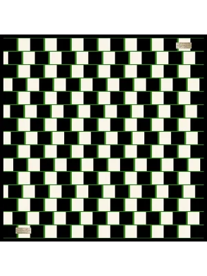 2010 SURA İPEK EŞARP 07