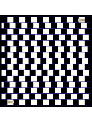 2010 TWILL İPEK - 02 - 90X90