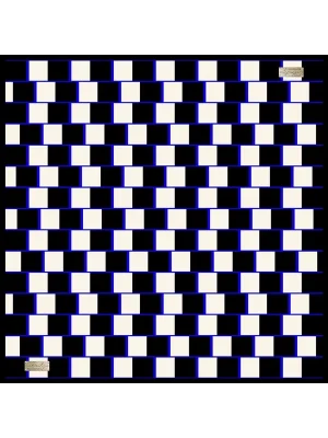 2010 TWILL İPEK - 06 - 90X90