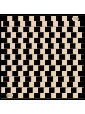 2010 TWILL İPEK - 09 - 90X90