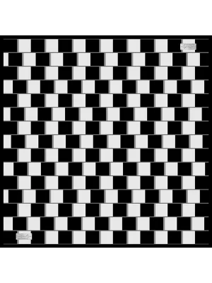 2010 TWILL İPEK - 10 - 90X90