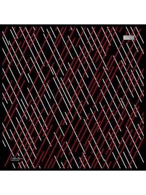 2024 SURA İPEK EŞARP 04