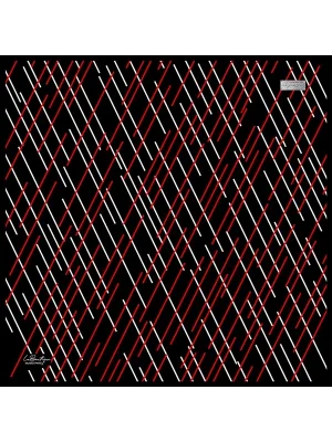 2024 TWILL İPEK - 04 - 90X90