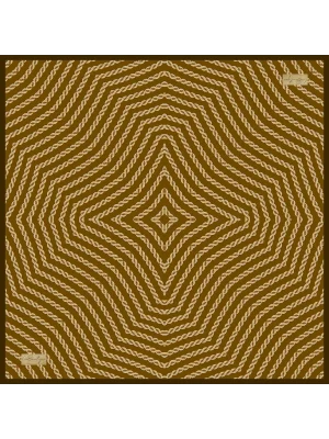 2131 TWILL İPEK 10 - 90X90