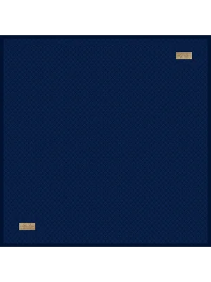 2462-04 TWILL İPEK 90X90