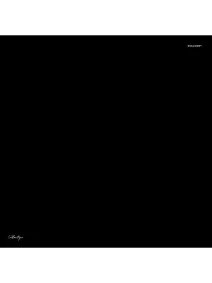 CLASSICAL TWILL DÜZ RENK 18